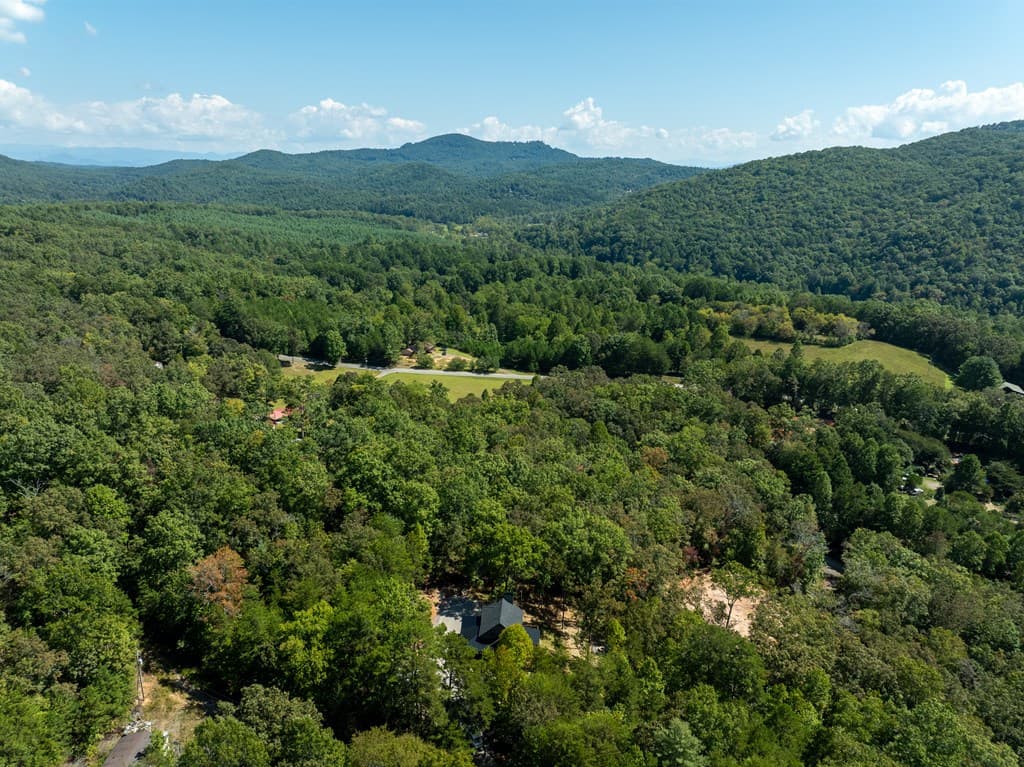 108 Wildflower Drive, Mineral Bluff GA 30559 - Photo