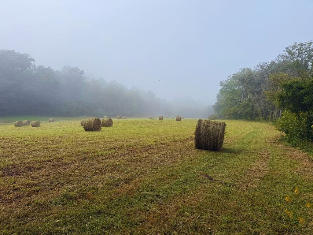 Lot 26 Butterball Boulevard, Murphy NC 28906 - Photo
