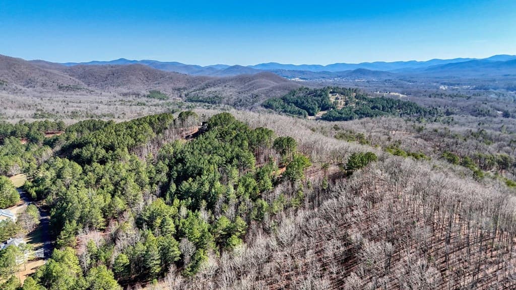 Lot 29 Loftis Mountain, Blairsville GA 30512 - Photo
