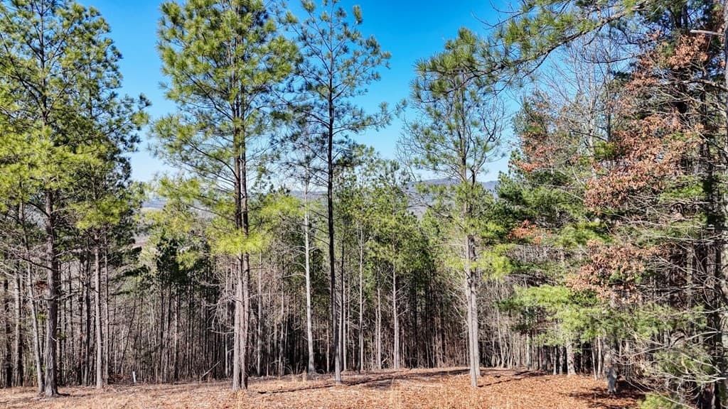 Lot 29 Loftis Mountain, Blairsville GA 30512 - Photo