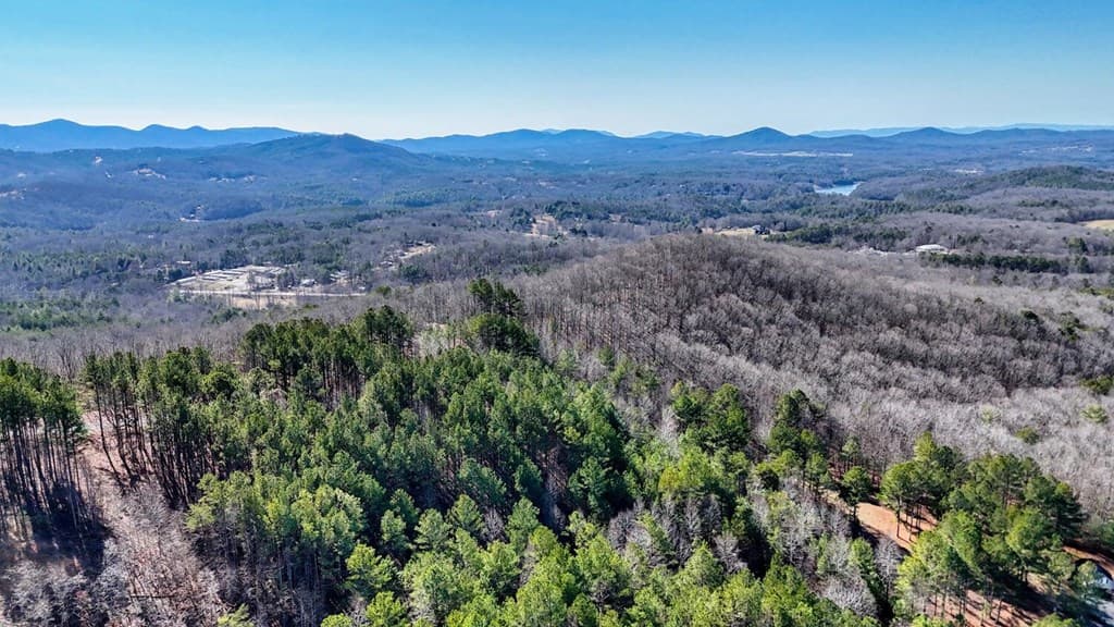 Lot 29 Loftis Mountain, Blairsville GA 30512 - Photo