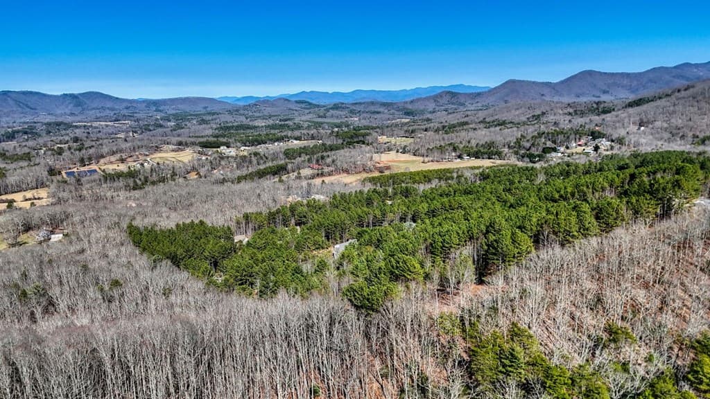 Lot 29 Loftis Mountain, Blairsville GA 30512 - Photo