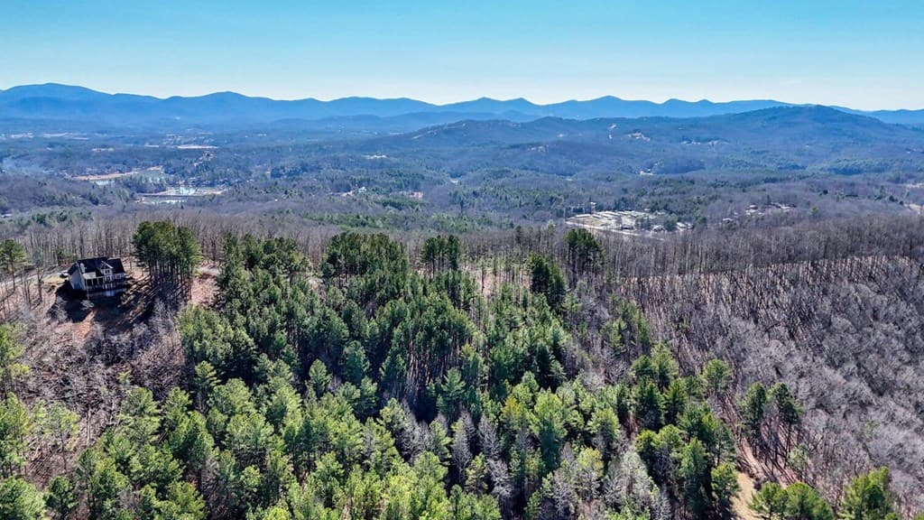 Lot 29 Loftis Mountain, Blairsville GA 30512 - Photo