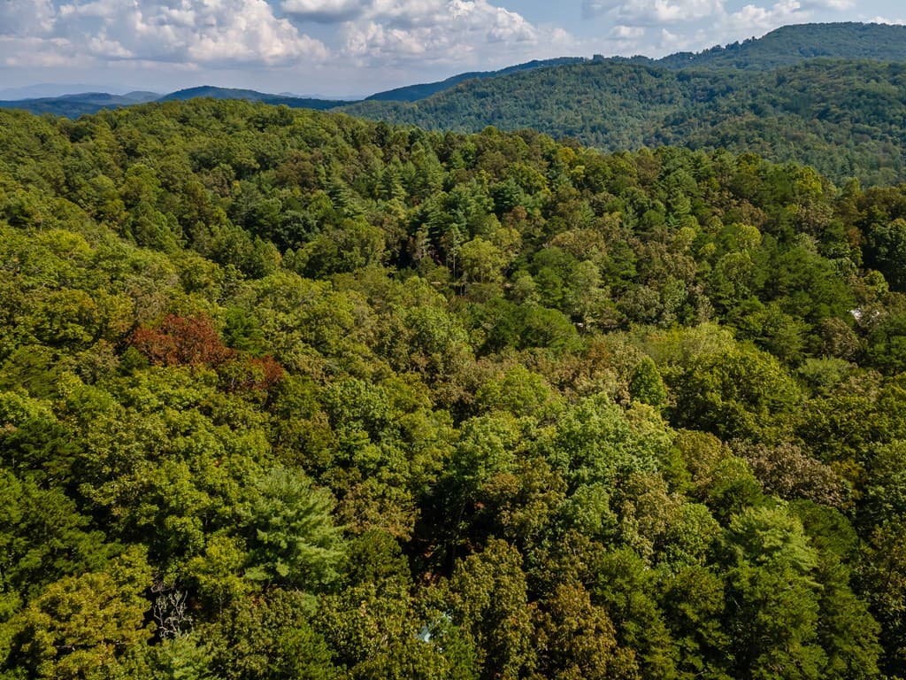 151 Pinewood Drive, Murphy NC 28906 - Photo