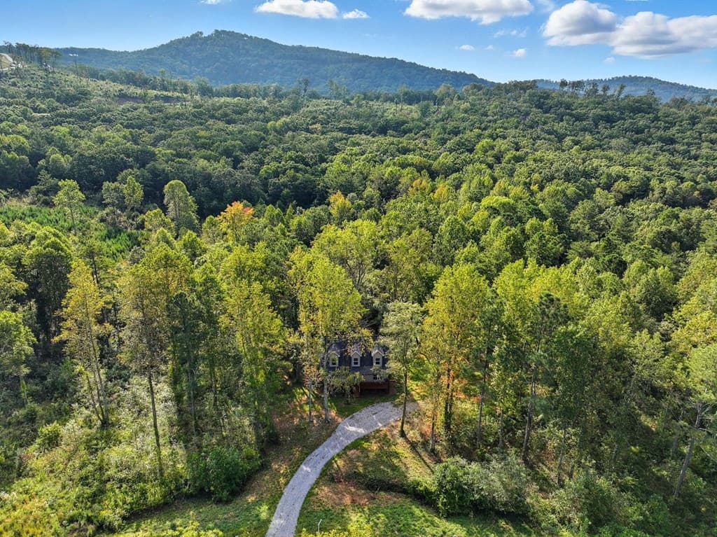 235 Oak Park Drive, Talking Rock GA 30175 - Photo
