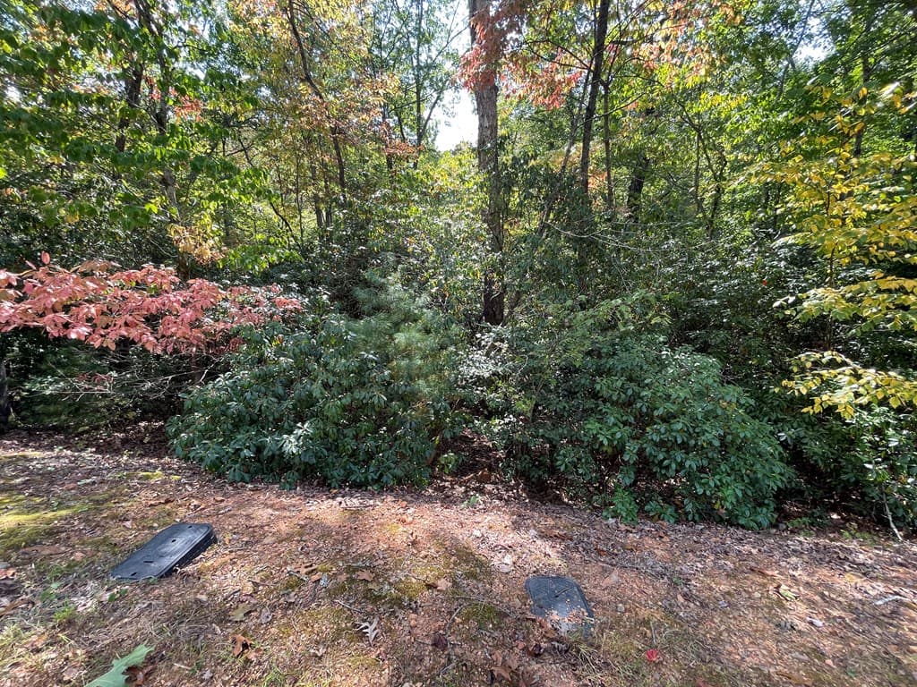 #103 Heritage Trail, Brasstown NC 28902 - Photo