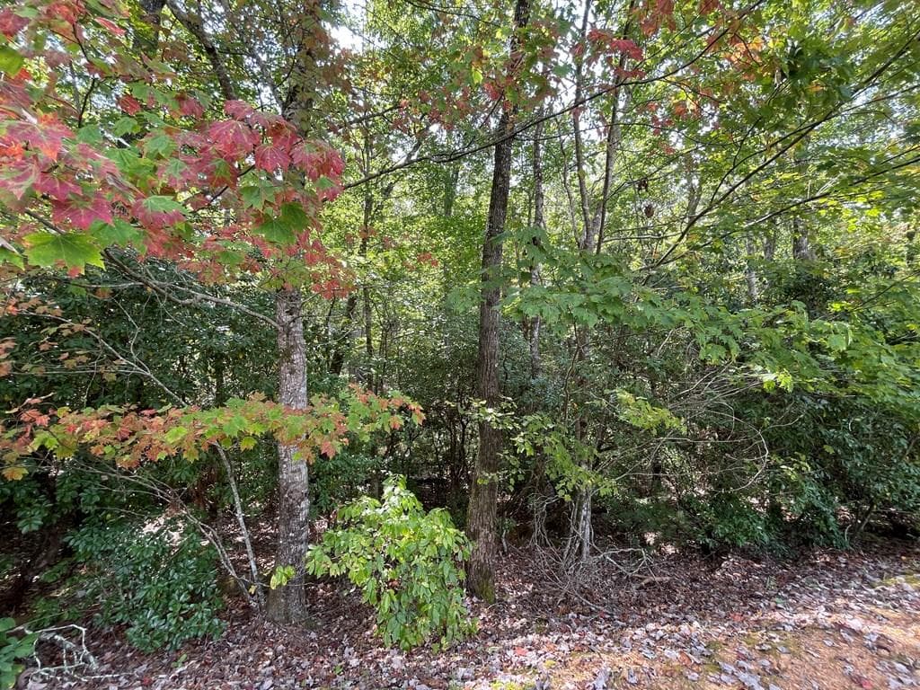 #103 Heritage Trail, Brasstown NC 28902 - Primary photo