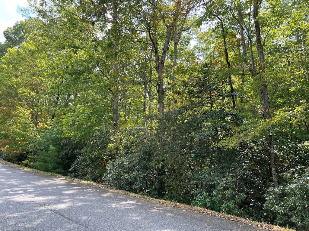 #103 Heritage Trail, Brasstown NC 28902 - Photo