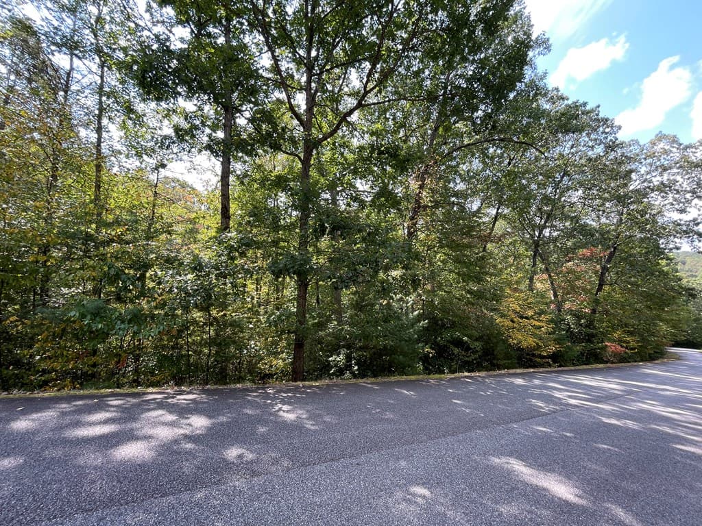 #104 Heritage Trail, Brasstown NC 28902 - Photo