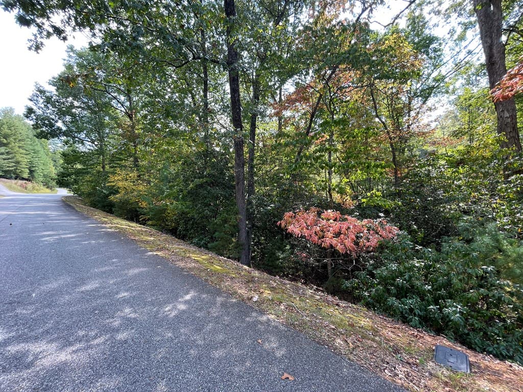 #104 Heritage Trail, Brasstown NC 28902 - Photo