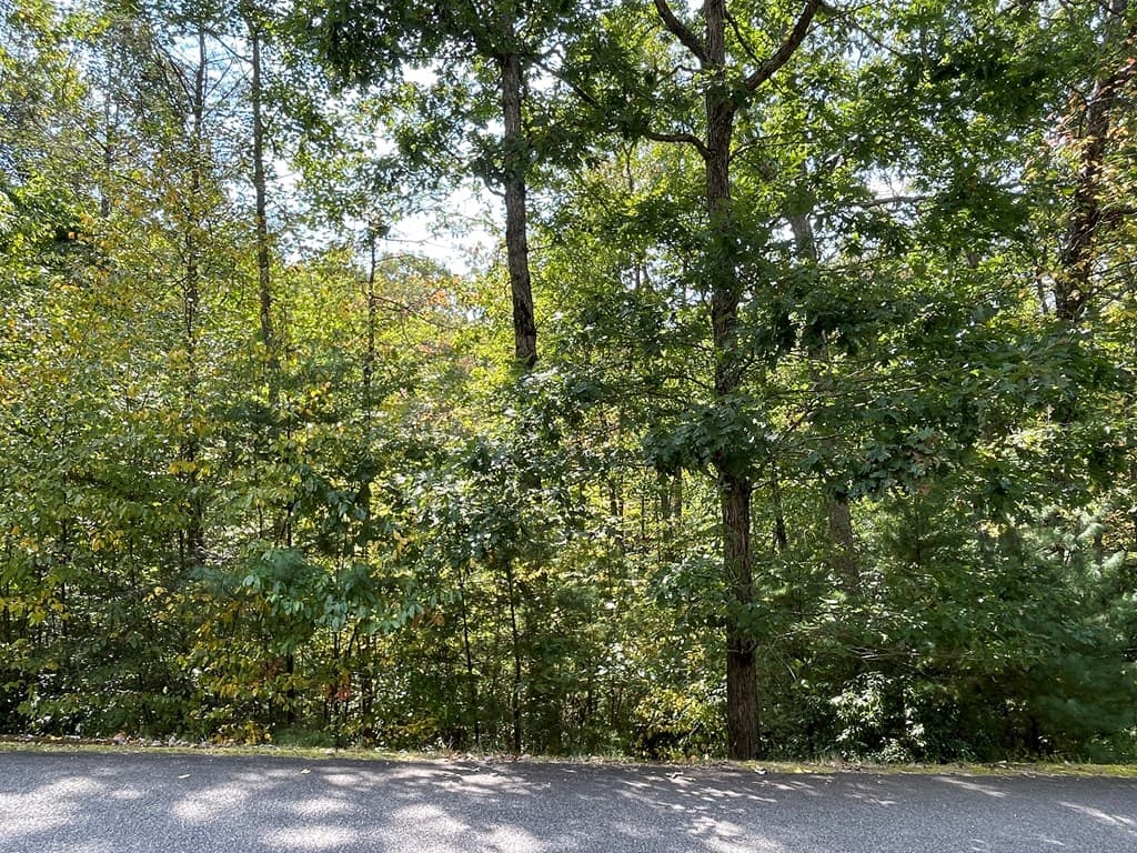 #104 Heritage Trail, Brasstown NC 28902 - Photo