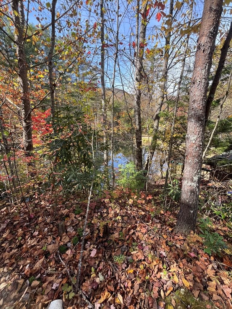 68 Nelson Road, Hiawassee GA 30546 - Photo