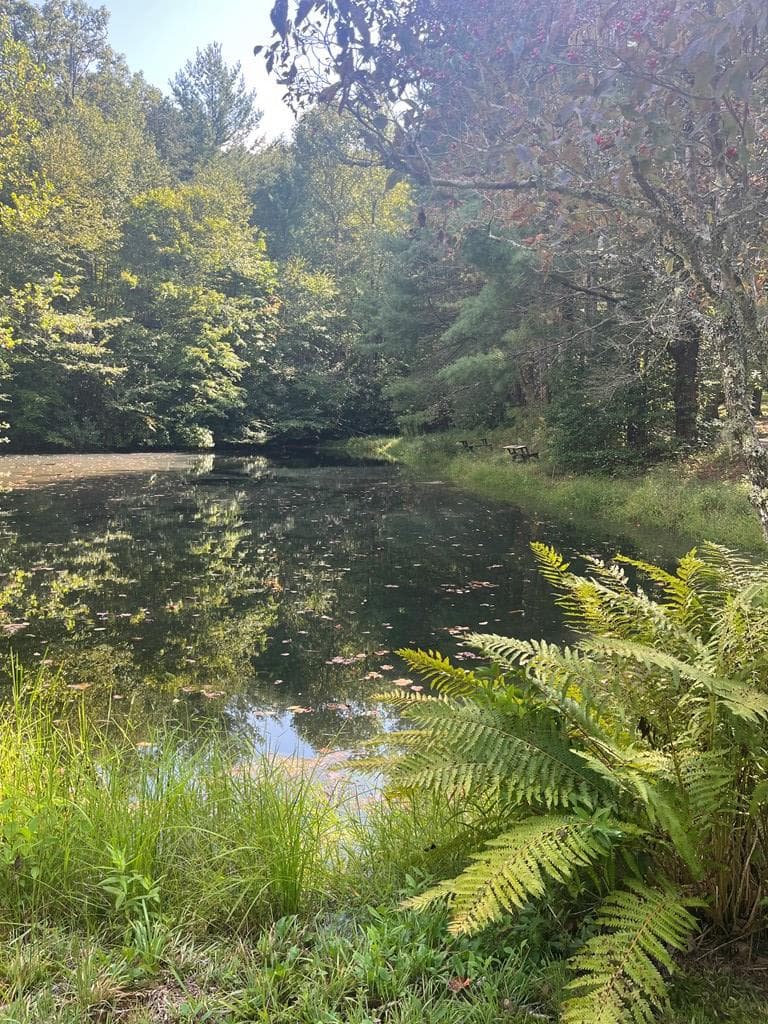 68 Nelson Road, Hiawassee GA 30546 - Photo