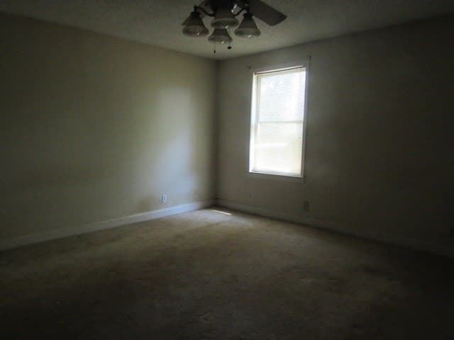 88 Bruce Wike Lane, Brasstown NC 28902 - Photo