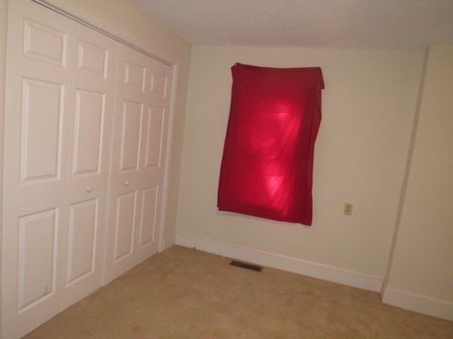 88 Bruce Wike Lane, Brasstown NC 28902 - Photo