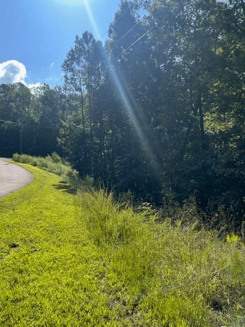 LT 54 Honeysuckle Way, Ellijay GA 30540 - Photo
