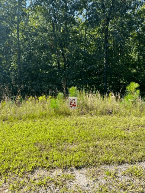 LT 54 Honeysuckle Way, Ellijay GA 30540 - Photo