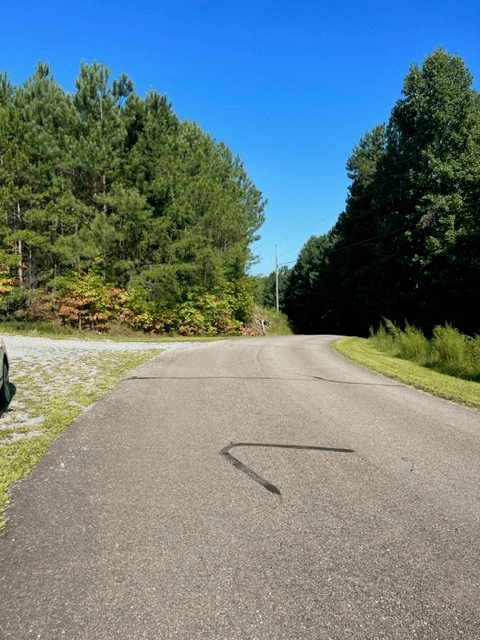 LT 54 Honeysuckle Way, Ellijay GA 30540 - Photo