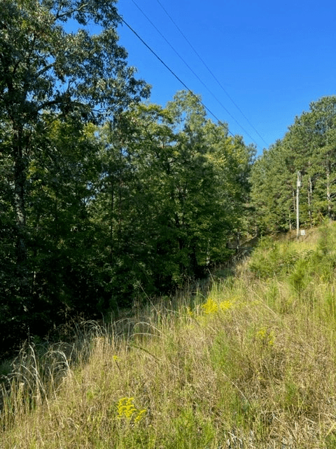 LT 54 Honeysuckle Way, Ellijay GA 30540 - Photo