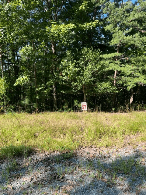 LT 57 Honeysuckle Way, Ellijay GA 30540 - Photo