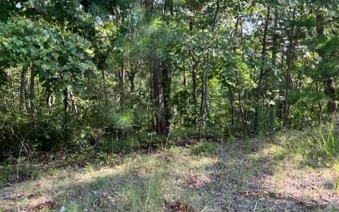 LT 60 Honeysuckle Way, Ellijay GA 30540 - Photo