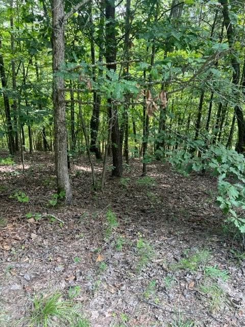 LT 3 Hunter Ridge, Ellijay GA 30540 - Photo