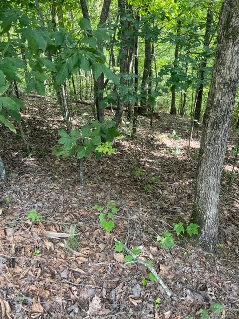 LT 3 Hunter Ridge, Ellijay GA 30540 - Photo