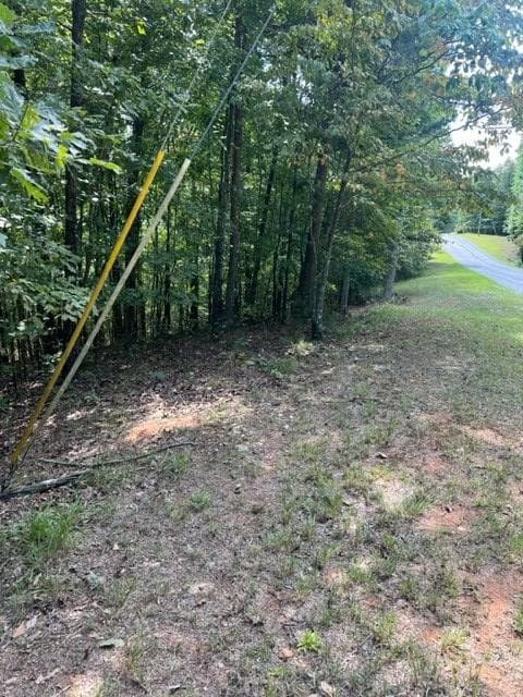 LT 3 Hunter Ridge, Ellijay GA 30540 - Photo