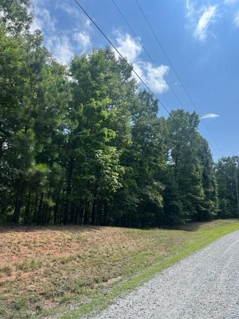LT 4 Hunter Ridge, Ellijay GA 30540 - Photo