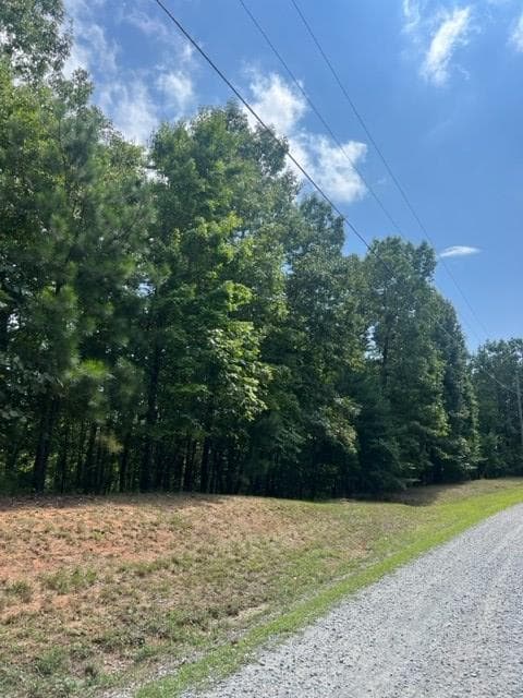 LT 4 Hunter Ridge, Ellijay GA 30540 - Photo
