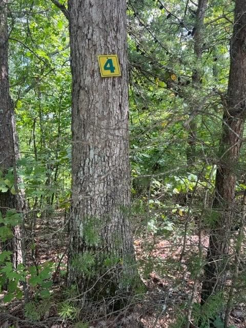 LT 4 Hunter Ridge, Ellijay GA 30540 - Photo
