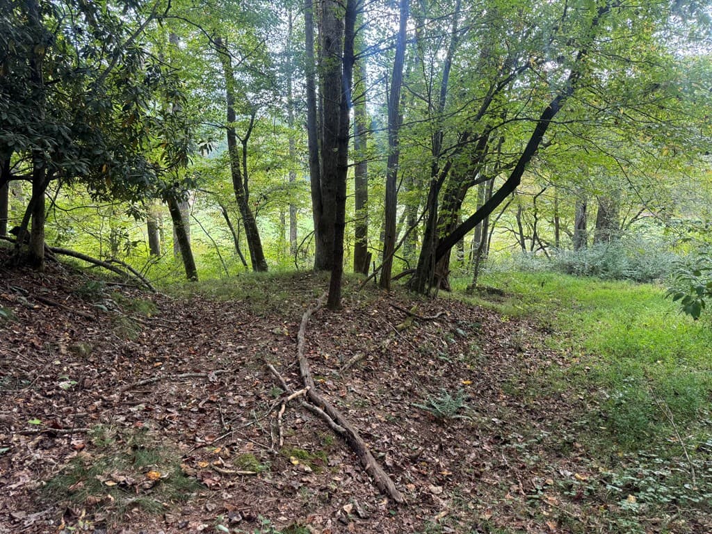 Lot 7 Double Creek Drive, Suches GA 30572 - Photo