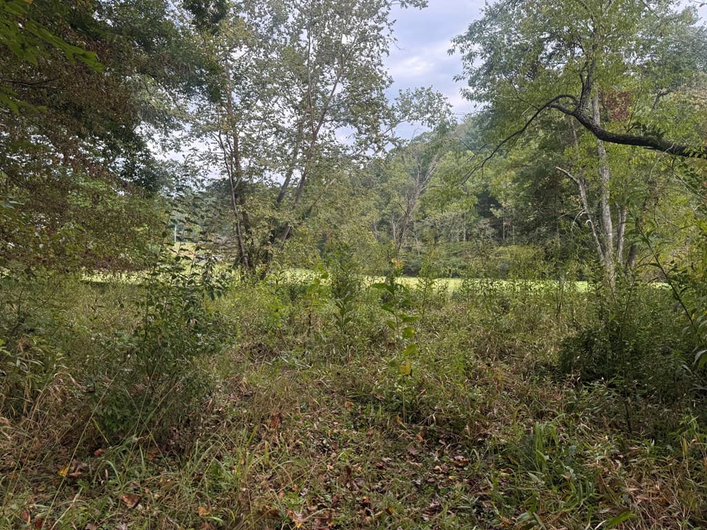 Lot 7 Double Creek Drive, Suches GA 30572 - Photo