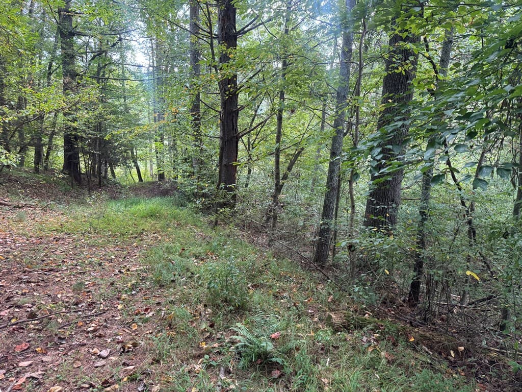 Lot 7 Double Creek Drive, Suches GA 30572 - Photo