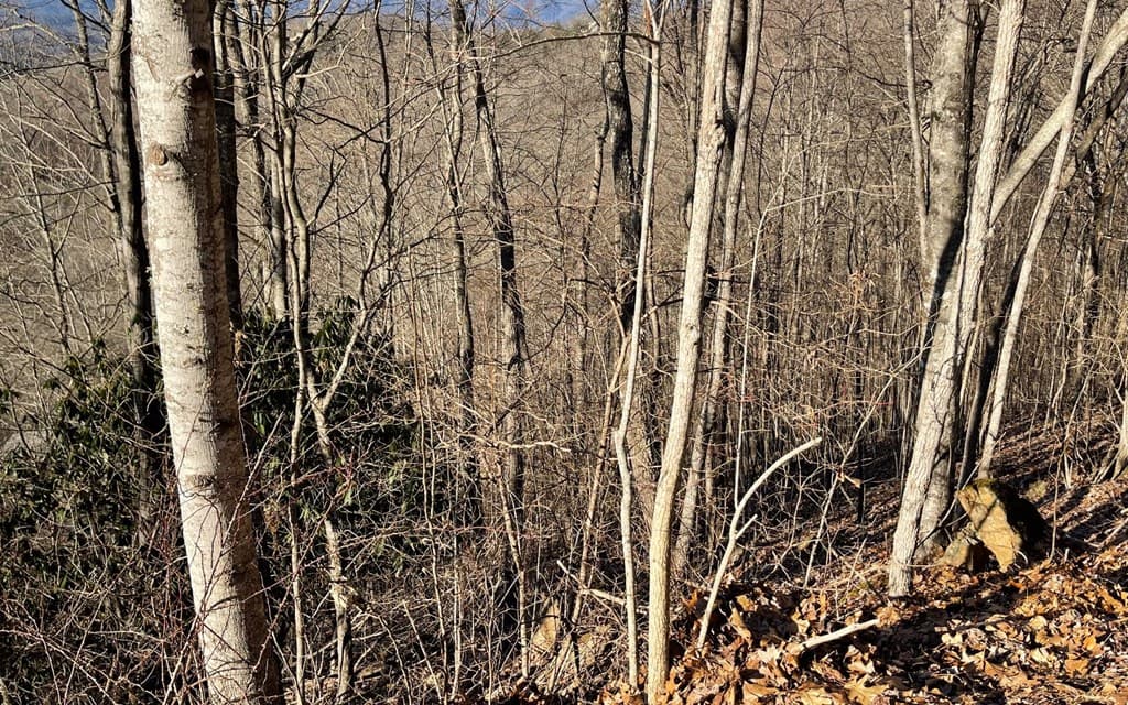 Lot 63 Dan Knob, Hayesville NC 28904 - Photo