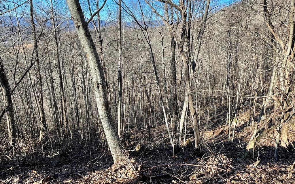 Lot 63 Dan Knob, Hayesville NC 28904 - Photo