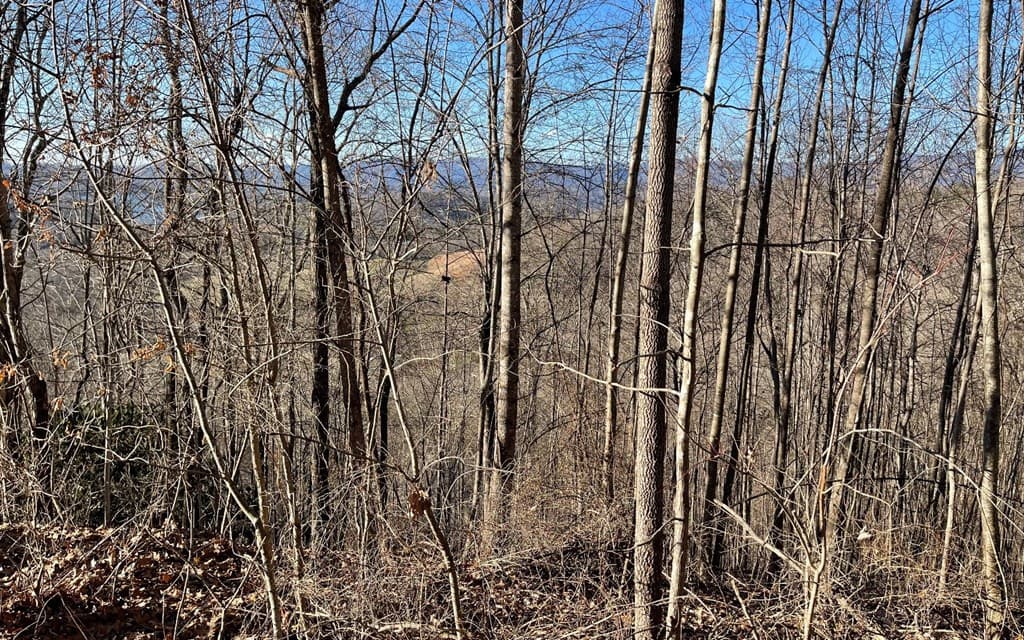 Lot 63 Dan Knob, Hayesville NC 28904 - Photo