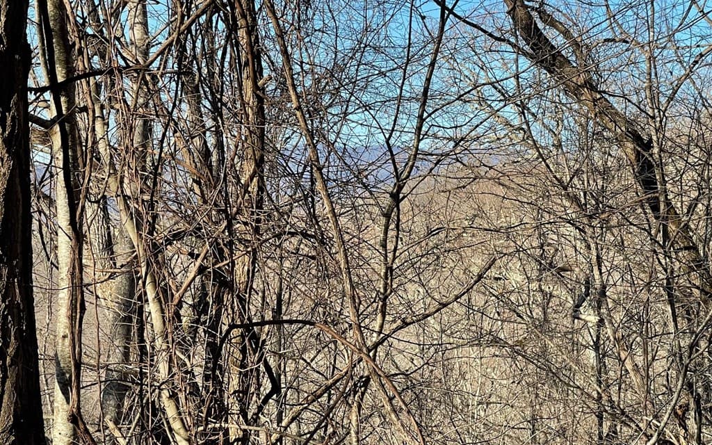 Lot 63 Dan Knob, Hayesville NC 28904 - Photo