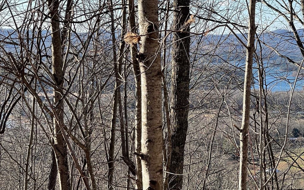 Lot 63 Dan Knob, Hayesville NC 28904 - Photo