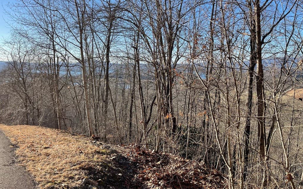 Lot 63 Dan Knob, Hayesville NC 28904 - Photo
