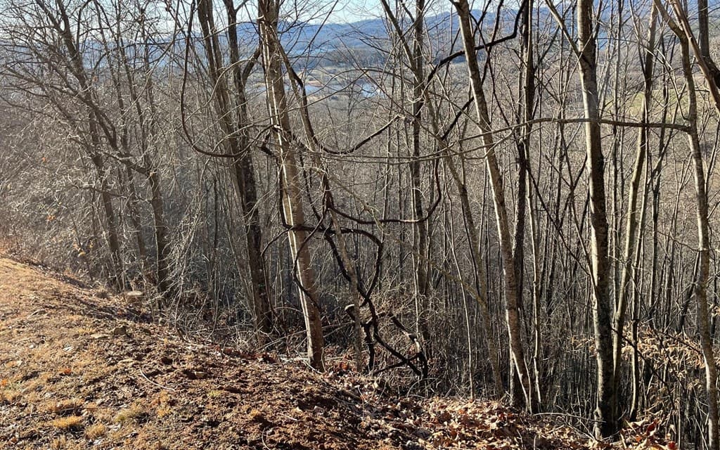 Lot 63 Dan Knob, Hayesville NC 28904 - Photo