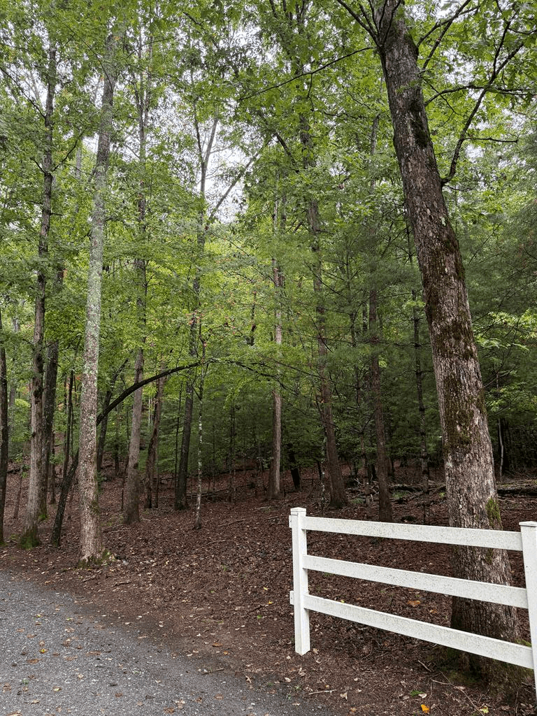 Lot 5 Ludlum Lane, Hayesville NC 28904 - Primary photo