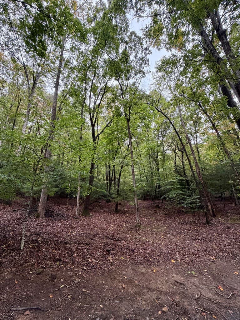 Lot 5 Ludlum Lane, Hayesville NC 28904 - Photo