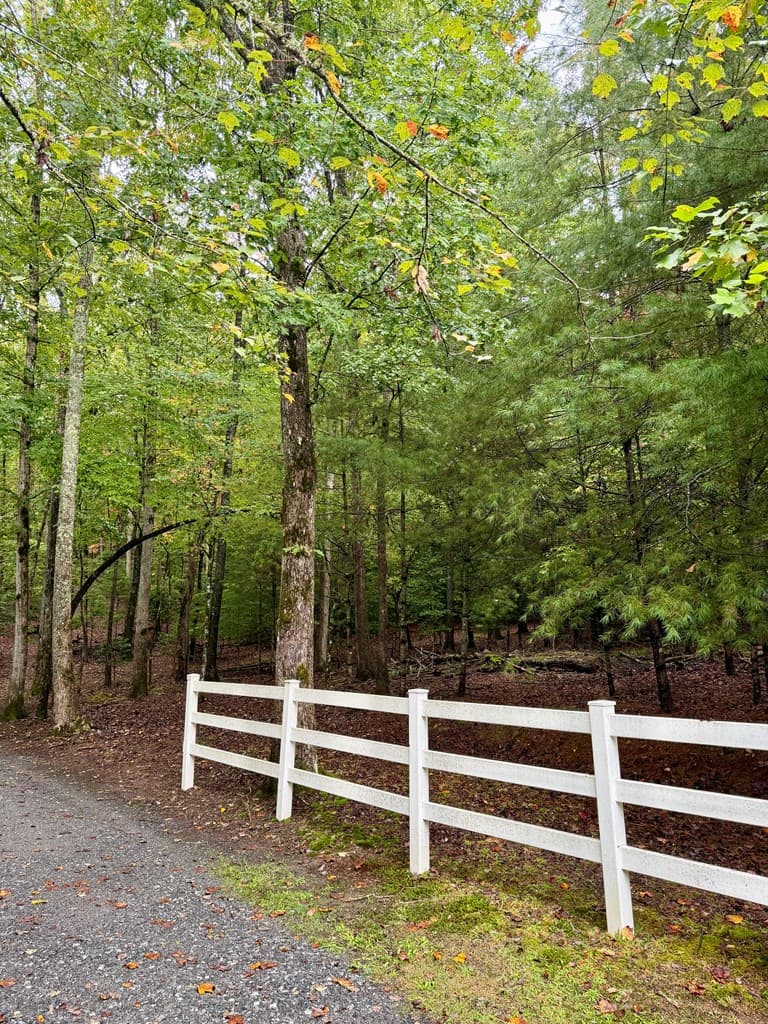 Lot 5 Ludlum Lane, Hayesville NC 28904 - Photo
