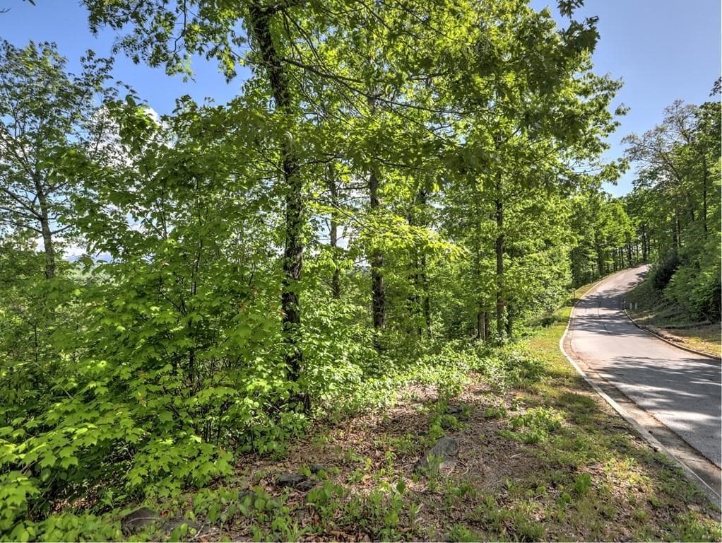 0 Bent Grass Way, Clayton GA 30525 - Photo