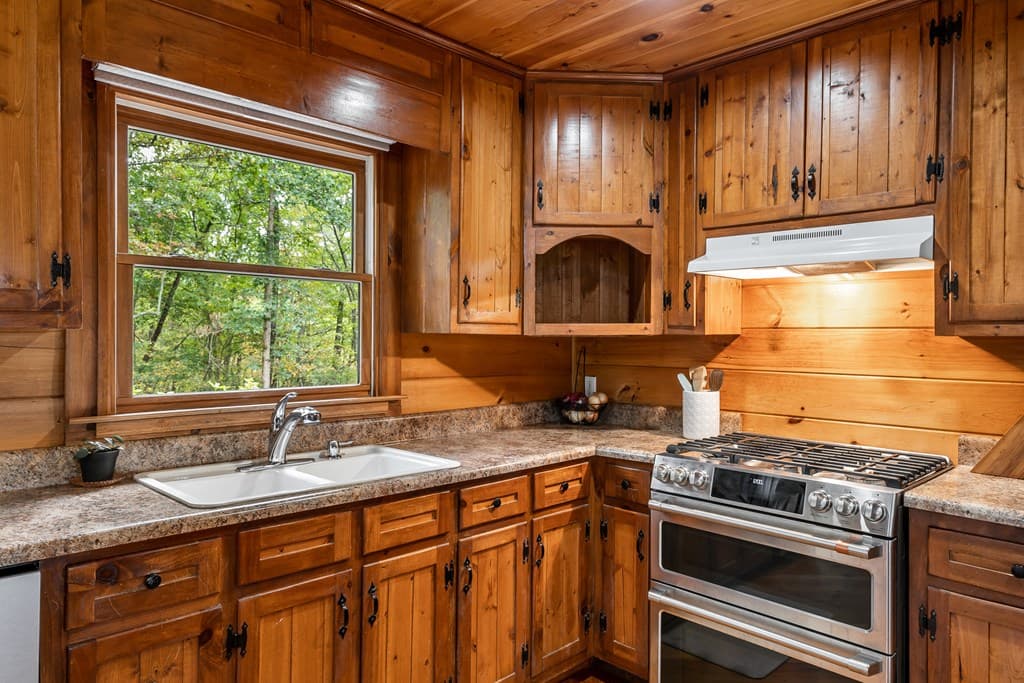 1994 Douthit Road, Mineral Bluff GA 30559 - Photo