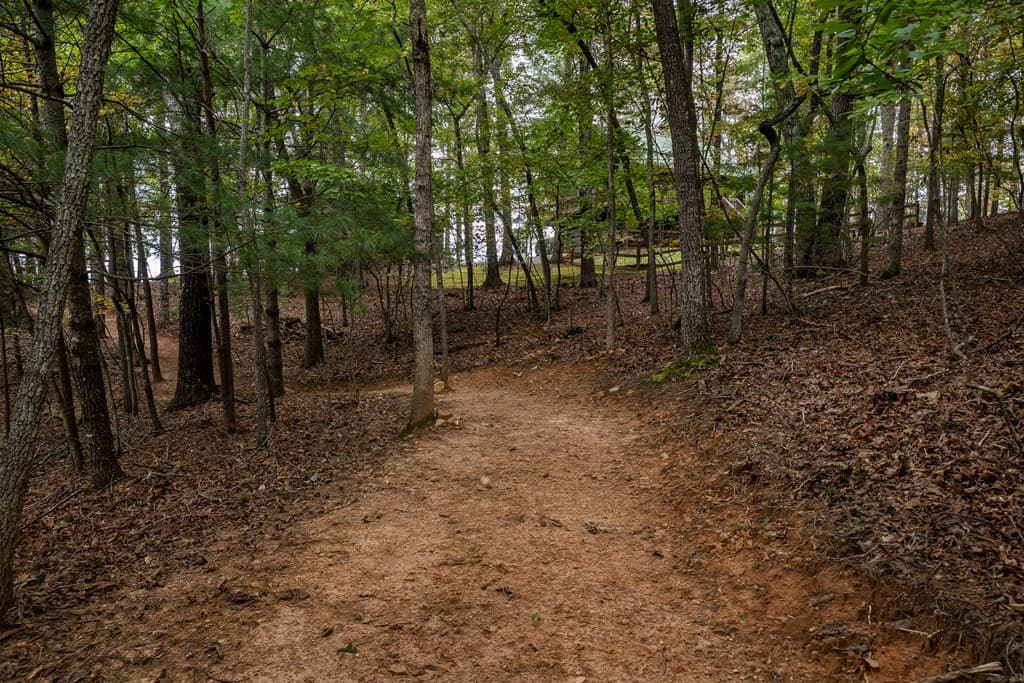 1994 Douthit Road, Mineral Bluff GA 30559 - Photo