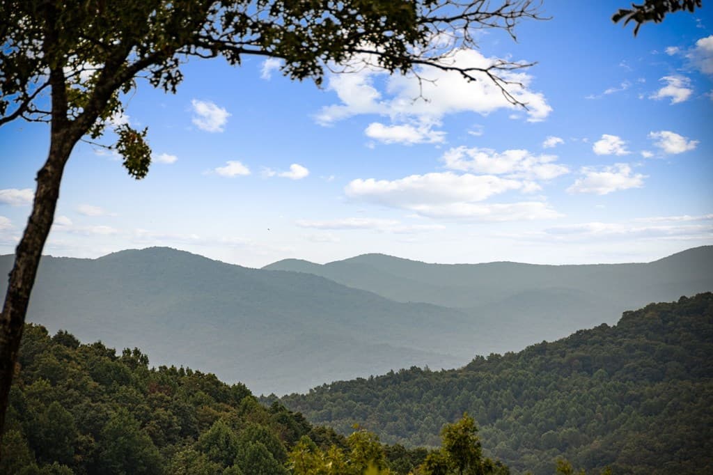 260 Huckleberry Hollow, Morganton GA 30560 - Photo