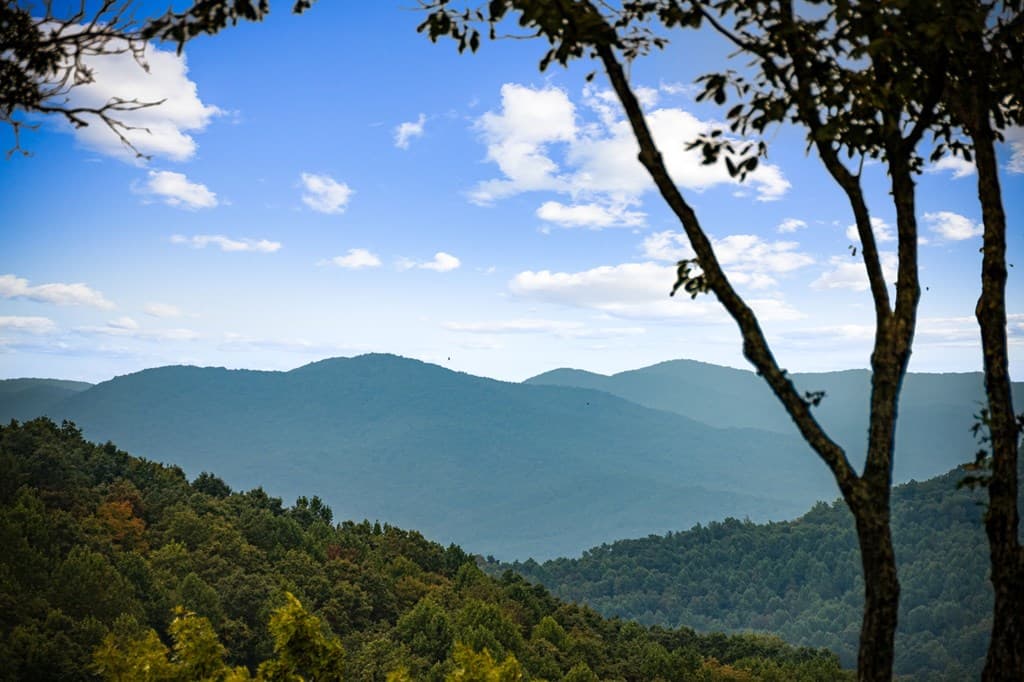 260 Huckleberry Hollow, Morganton GA 30560 - Photo
