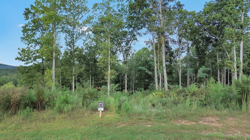 272 Highgrove Drive, Talking Rock GA 30175 - Photo
